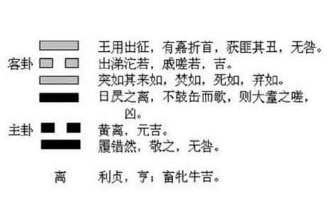 易經 離卦|【周易全解】30 離卦 